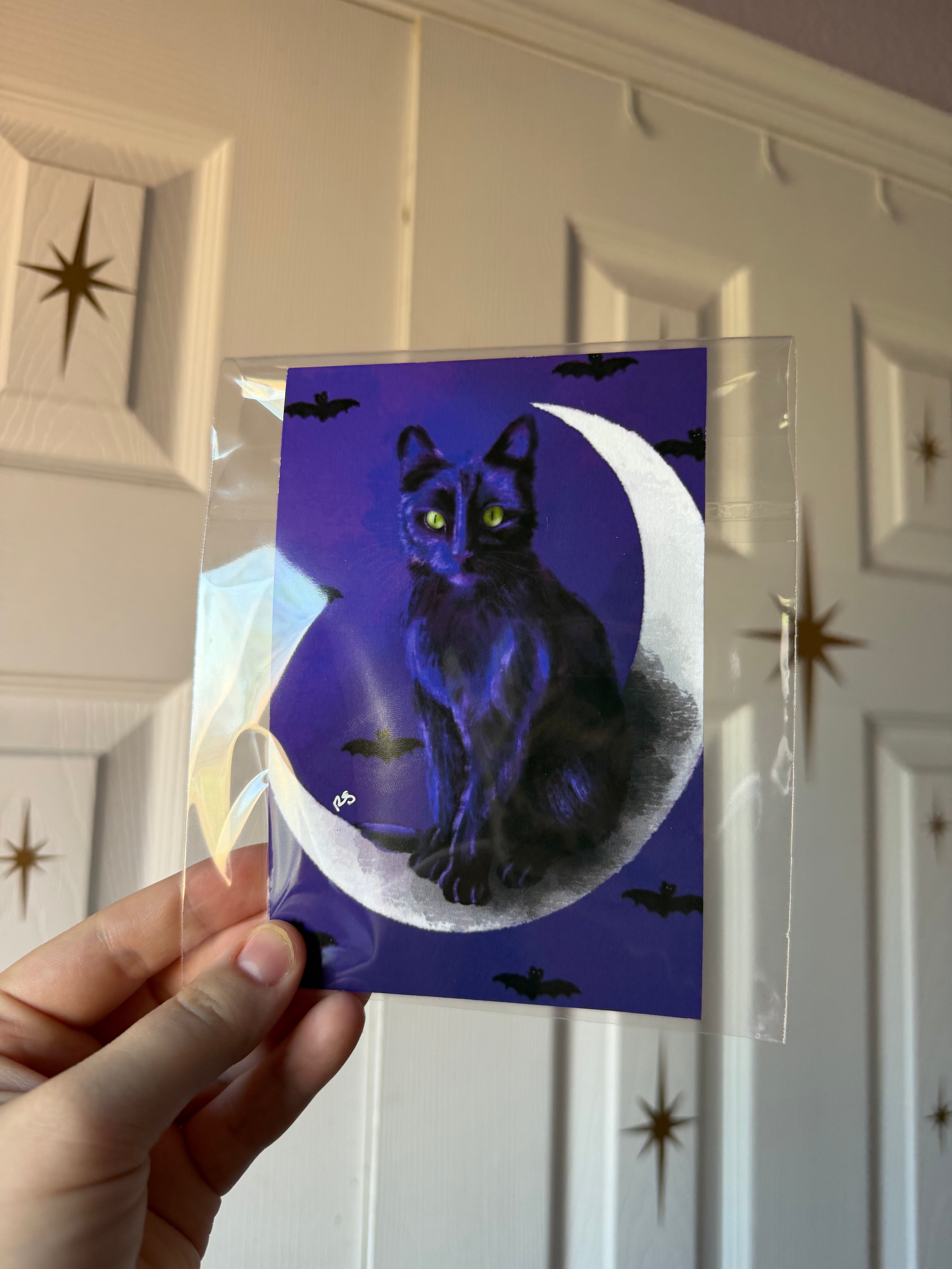 Black Cat 4x6 Art Print