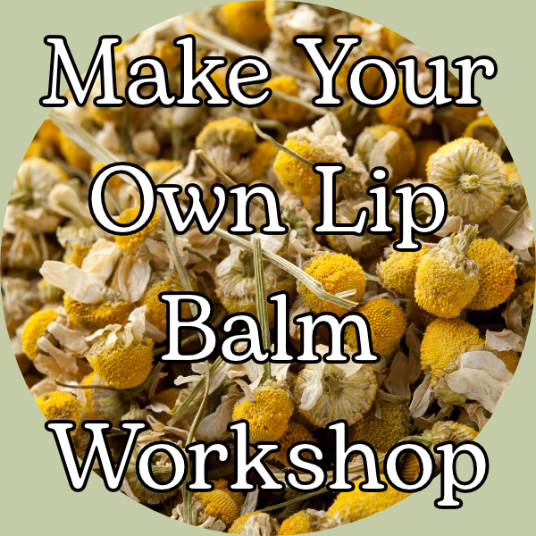 Luscious Lips Workshop